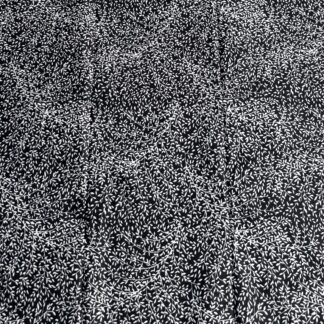 BLACK & WHITE PRINT