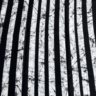 BLACK & WHITE PRINT